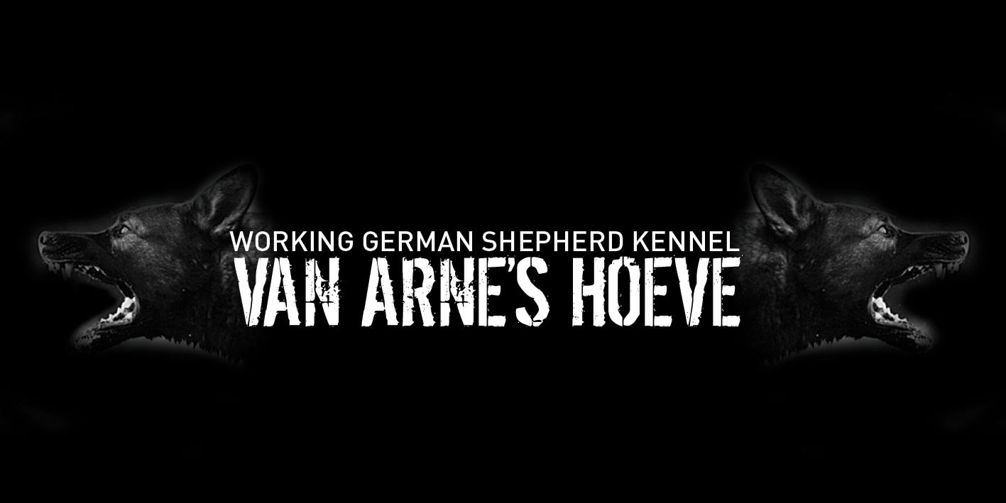 precedent Vouwen atleet Working German Shepherd Kennel Van Arne's Hoeve